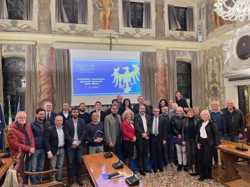 ASSEMBLEE DA LA COMUNITÂT LINGUISTICHE FURLANE